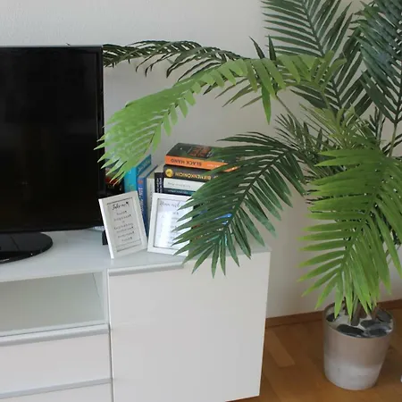 River Apartman *